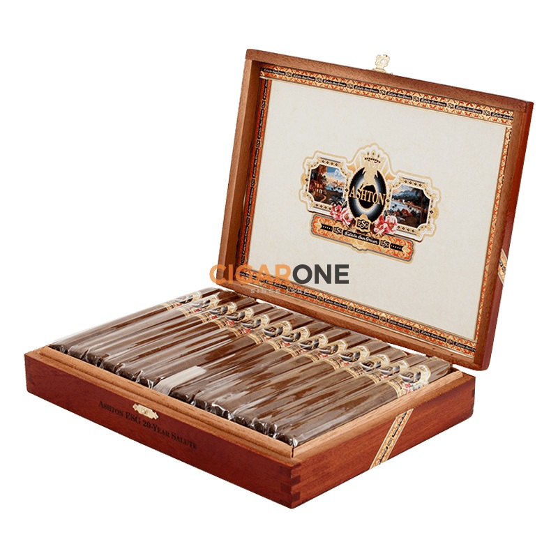 Ashton ESG 20 Year Salute