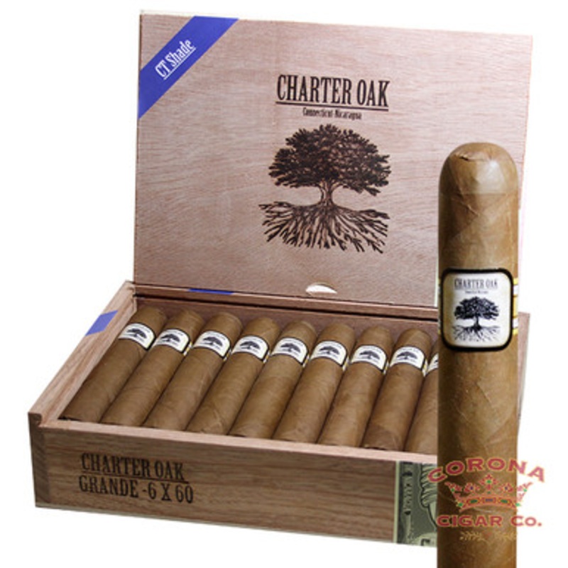 Charter Oak Connecticut Shade Grande (6 x 60)
