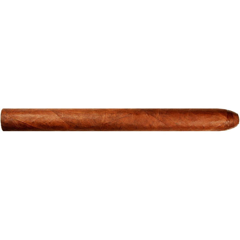 Warped Lirio Rojo Lonsdale 6″3/8 * 42