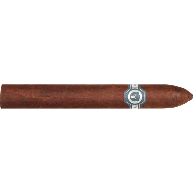 Warped El Oso Papa 6″ * 48
