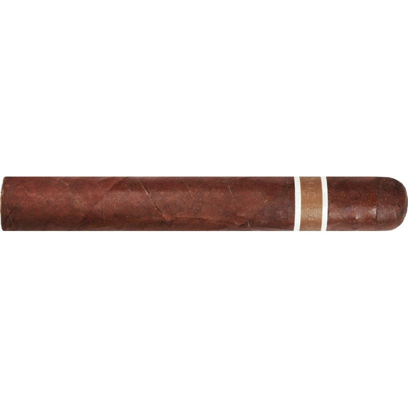 RoMa Craft CroMagnon Aquitaine Cranium 6″ * 54