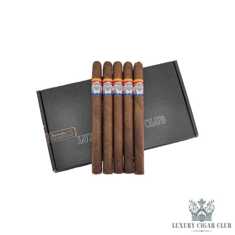 Xhaxhi Bobi Grey Label 5 pack lonsdale (6.75×42)