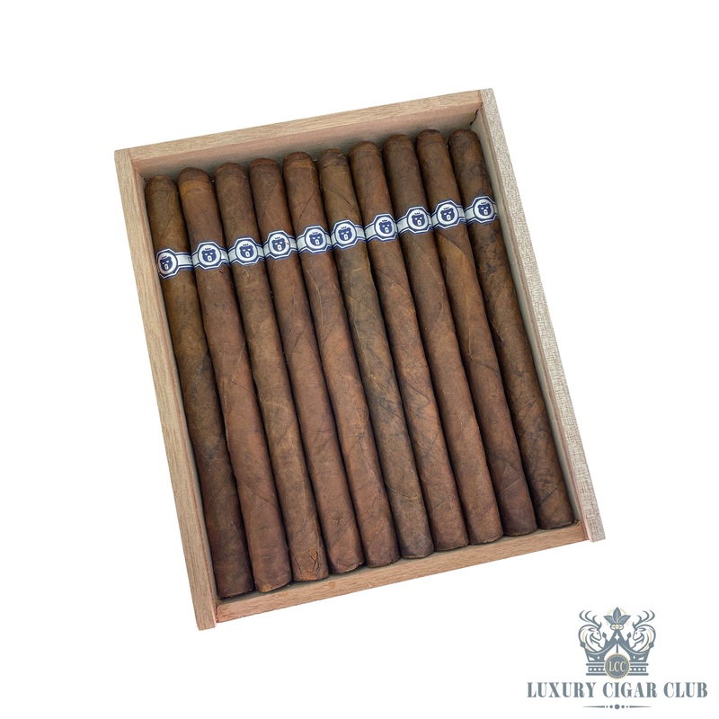 Warped El Oso Limited Edition 5 pack cub (4×44)