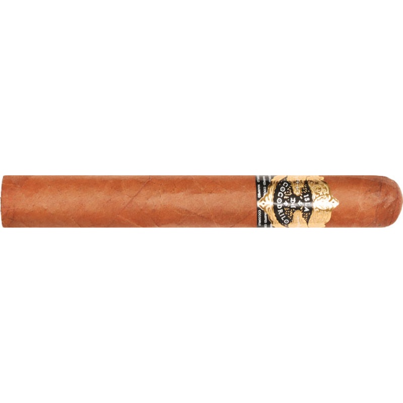 Warped Isla del Cocodrilo Corona Gorda 5″5/8 * 46