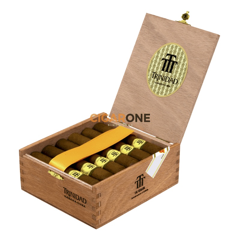 Trinidad Vigia