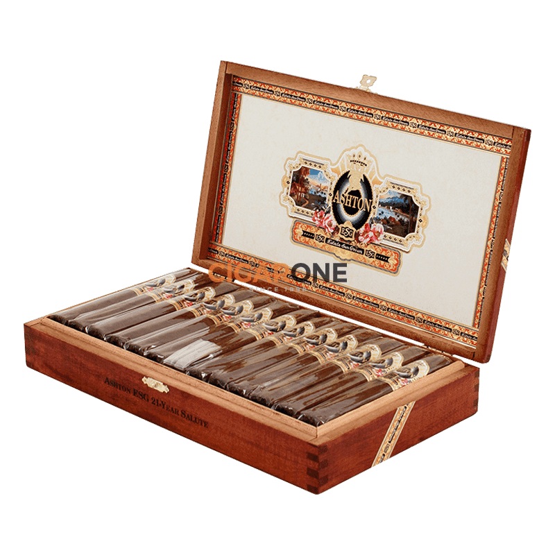 Ashton ESG 21 Year Salute