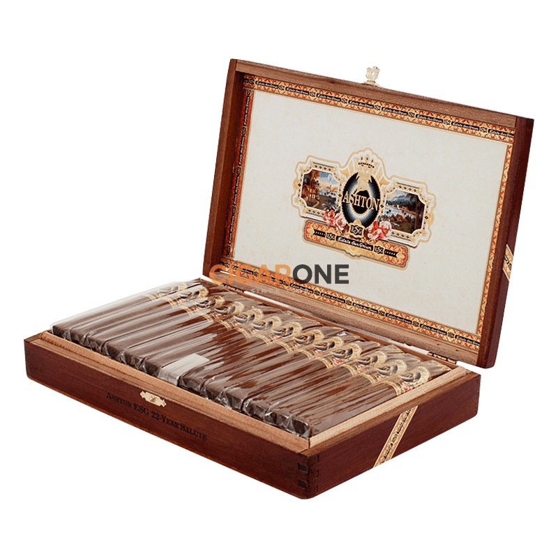 Ashton ESG 22 Year Salute