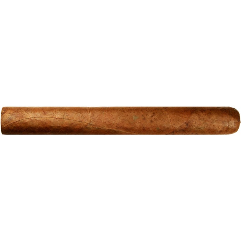 Warped Lirio Rojo 5″1/2 * 44